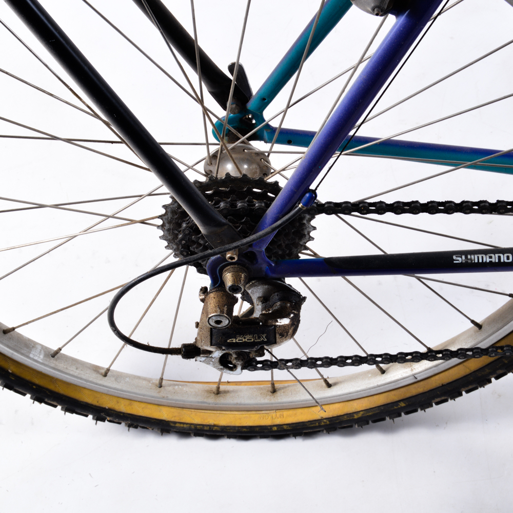 Iron Horse MT400 Bike with Rhode Gear Trailtail Trailer Bike