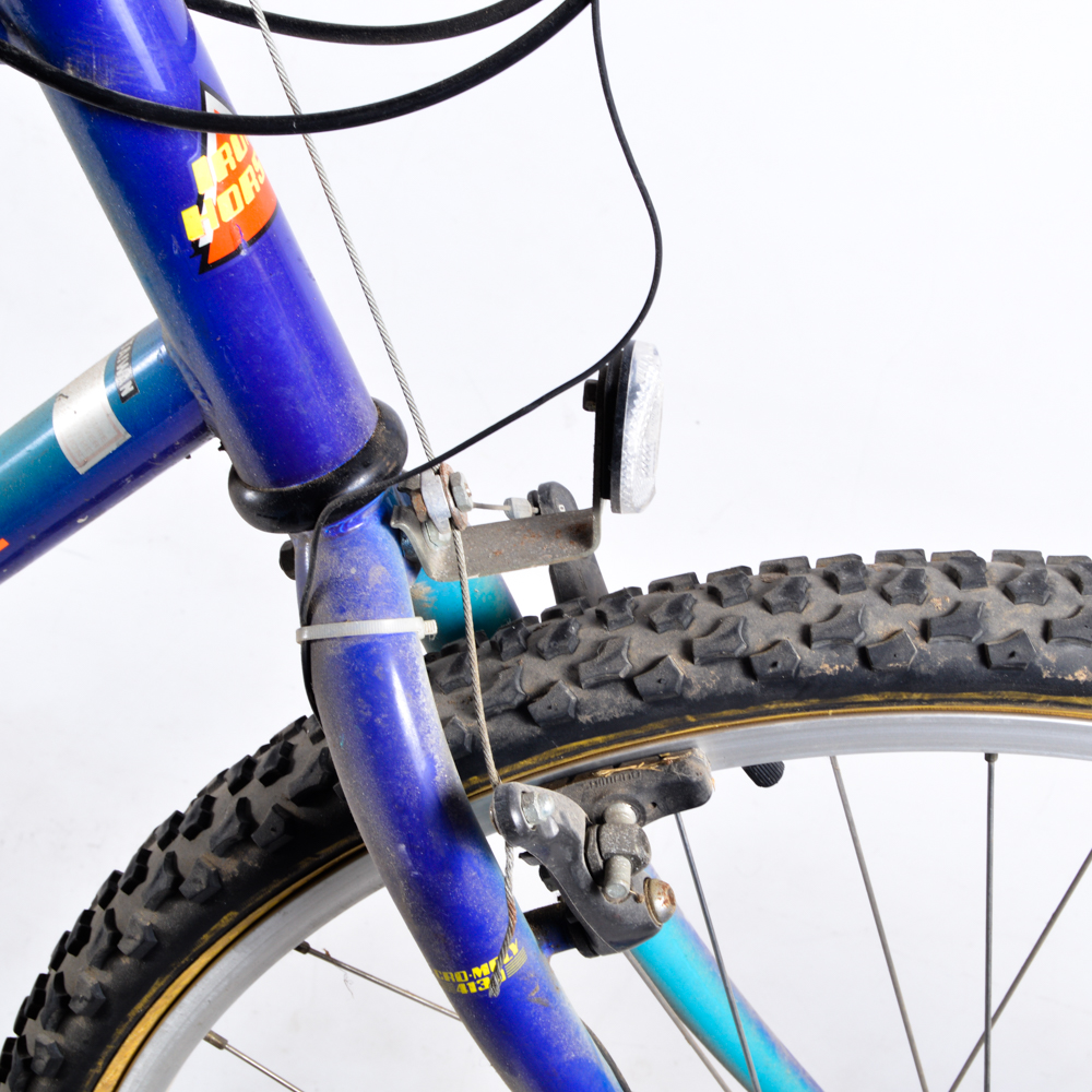 Iron Horse MT400 Bike with Rhode Gear Trailtail Trailer Bike