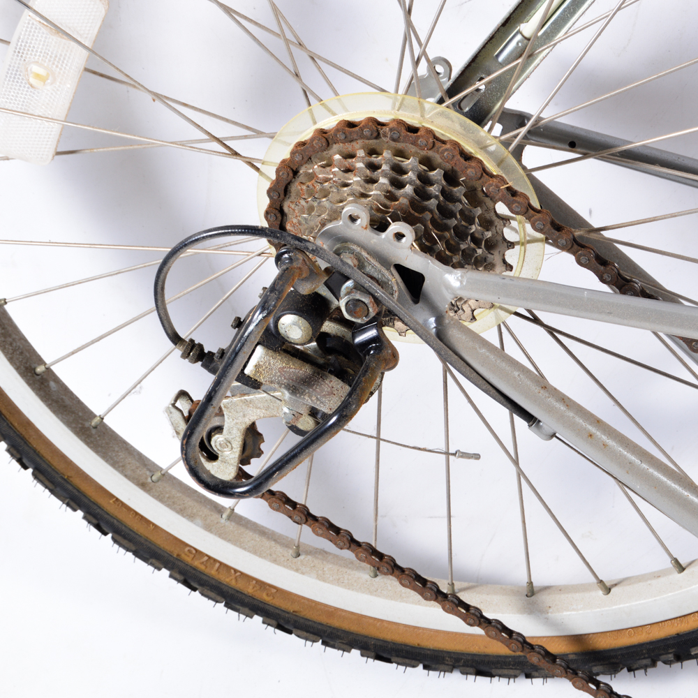 Iron Horse MT400 Bike with Rhode Gear Trailtail Trailer Bike