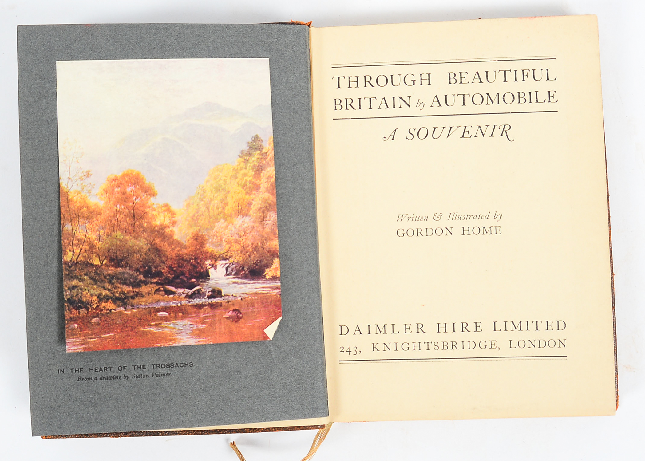 Collection of Antique Books