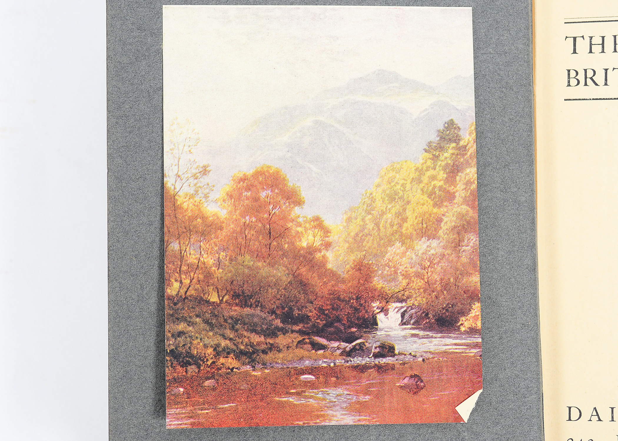 Collection of Antique Books