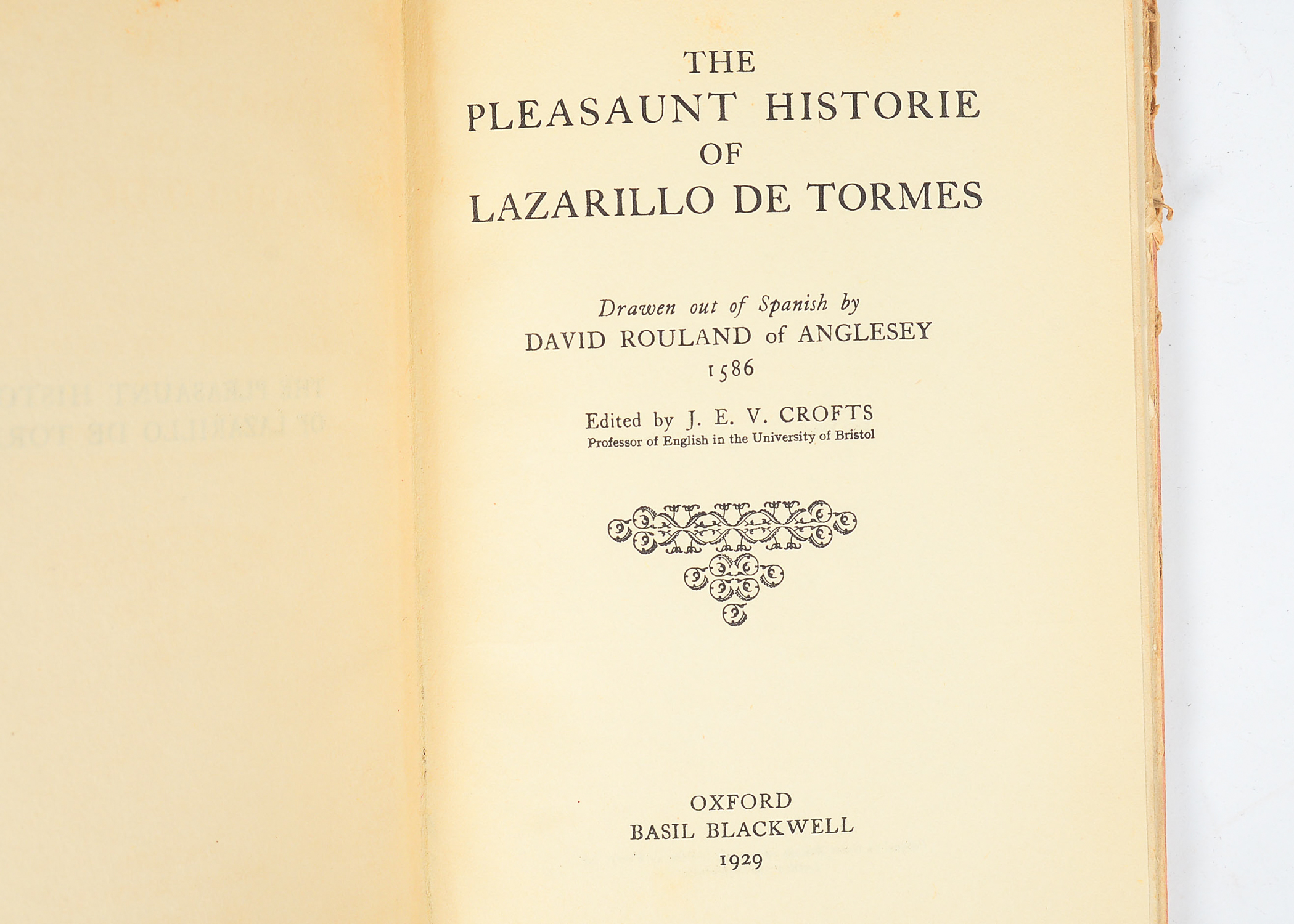 Collection of Antique and Vintage Books