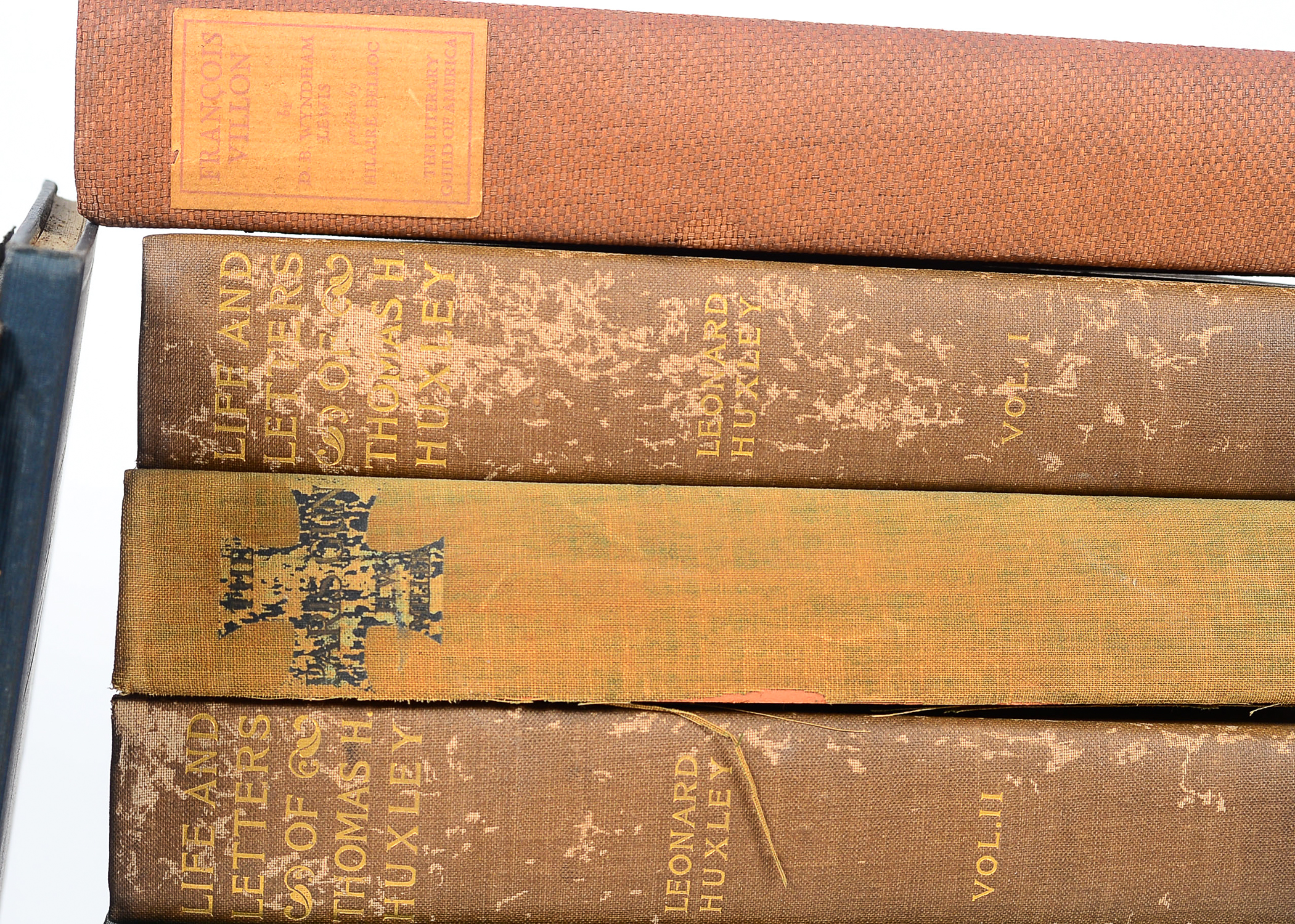 Collection of Antique and Vintage Books