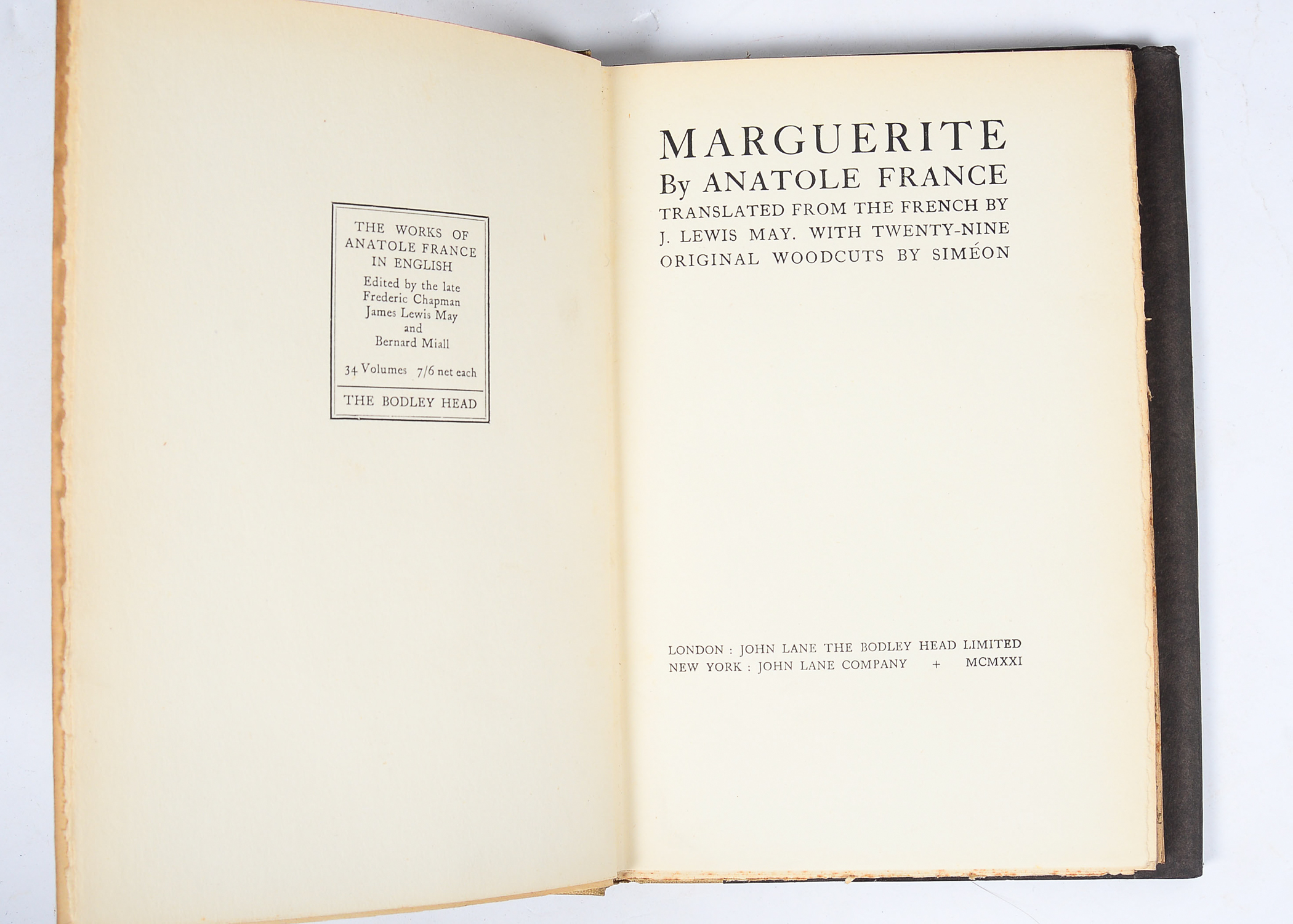 Collection of Antique and Vintage Books