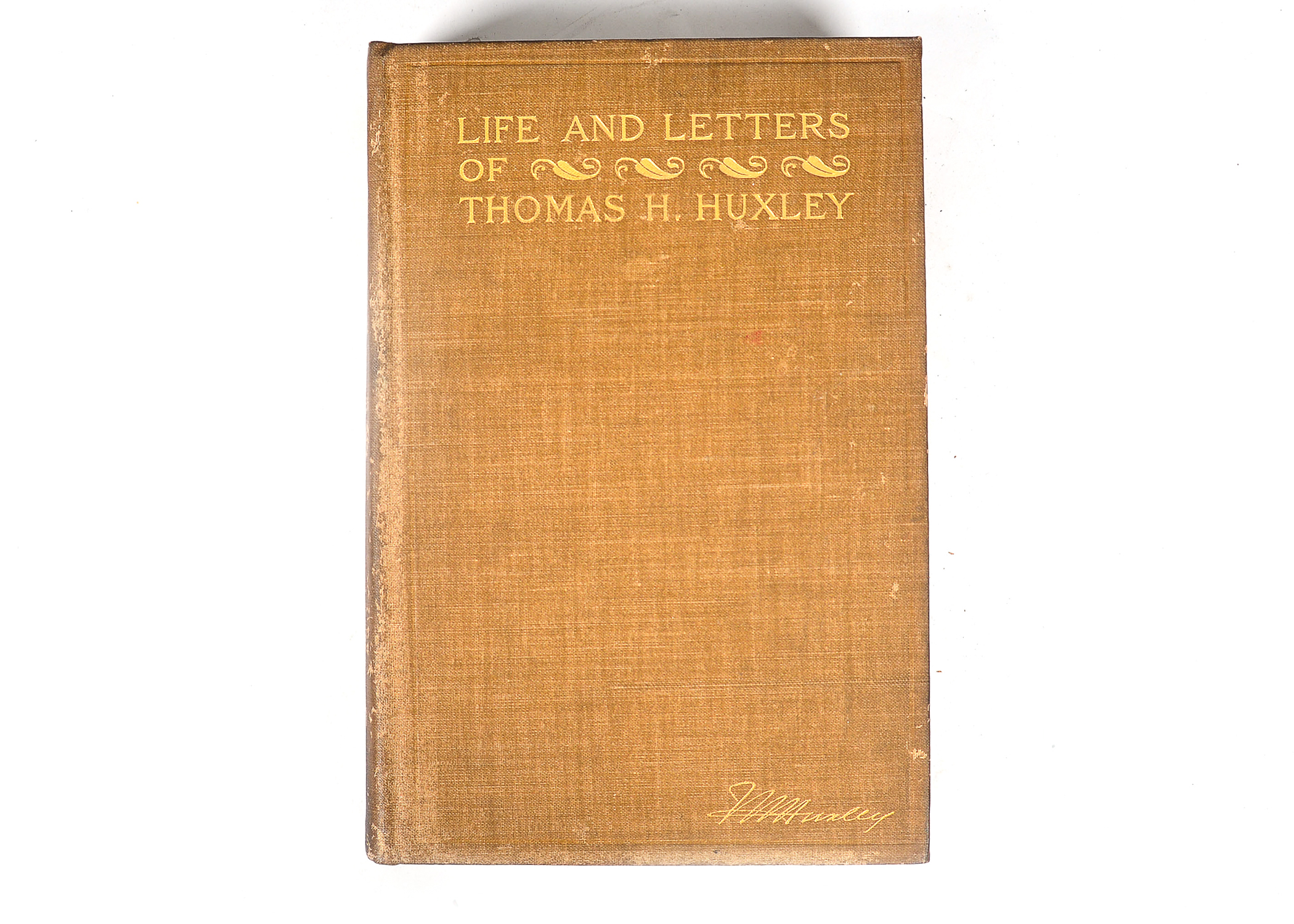 Collection of Antique and Vintage Books