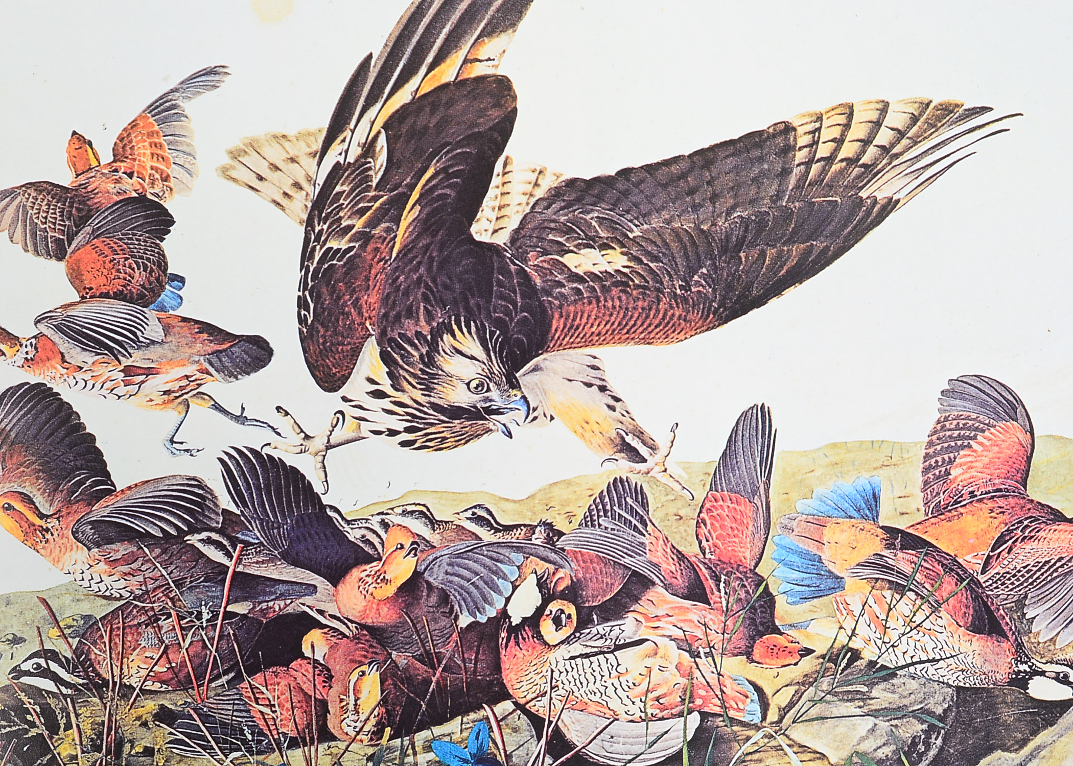 1972 "The Great American Shooting Prints"