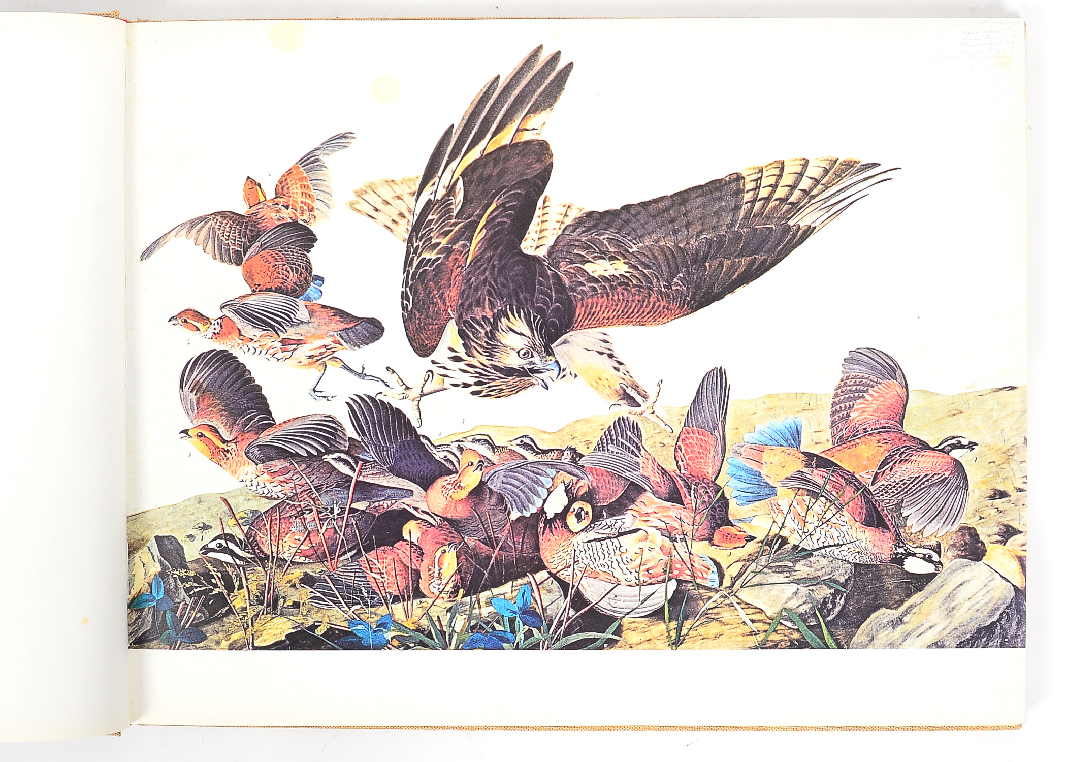 1972 "The Great American Shooting Prints"