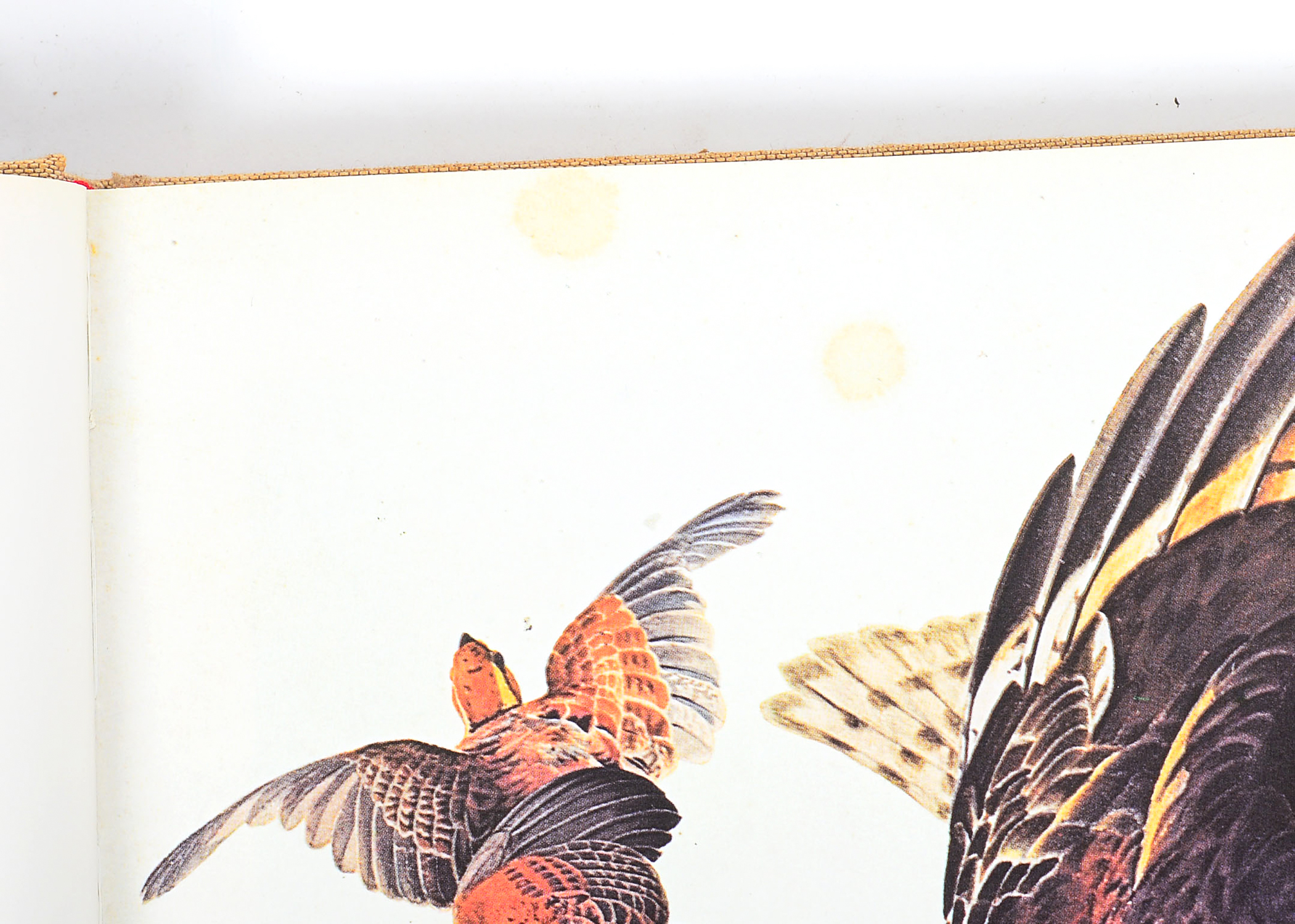 1972 "The Great American Shooting Prints"