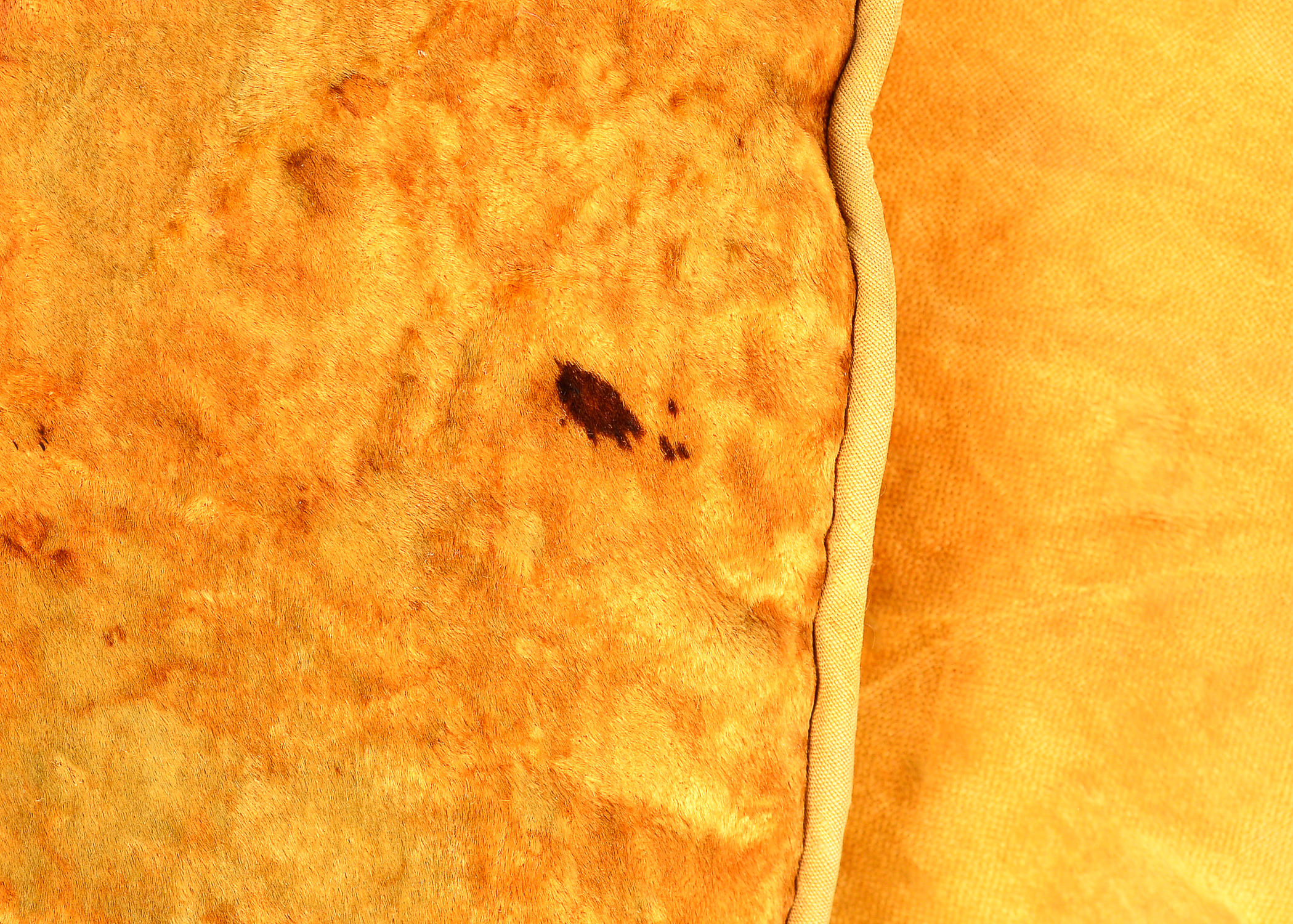 Collection of Accent Pillows