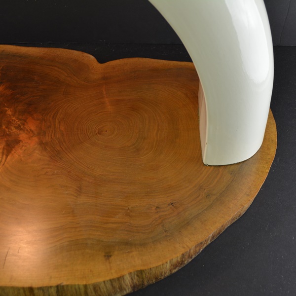 Acrylic Arch Light On A Sliced Walnut Display Slab