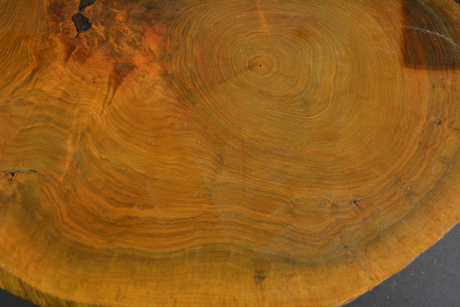 Acrylic Arch Light On A Sliced Walnut Display Slab