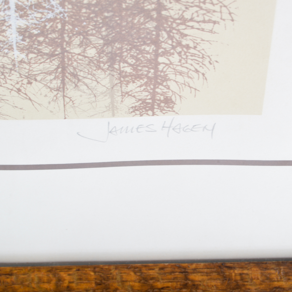 "Serenity" Signed, Numbered James Hagen Framed Serigraph