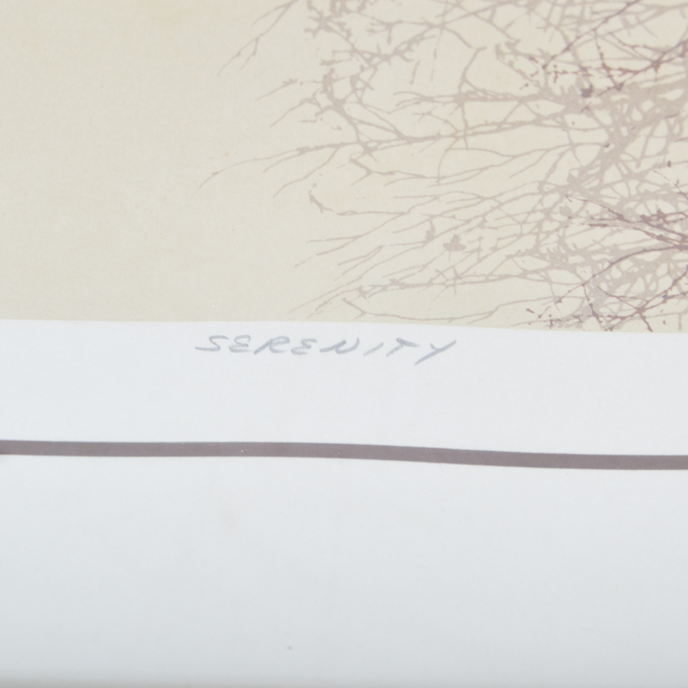 "Serenity" Signed, Numbered James Hagen Framed Serigraph