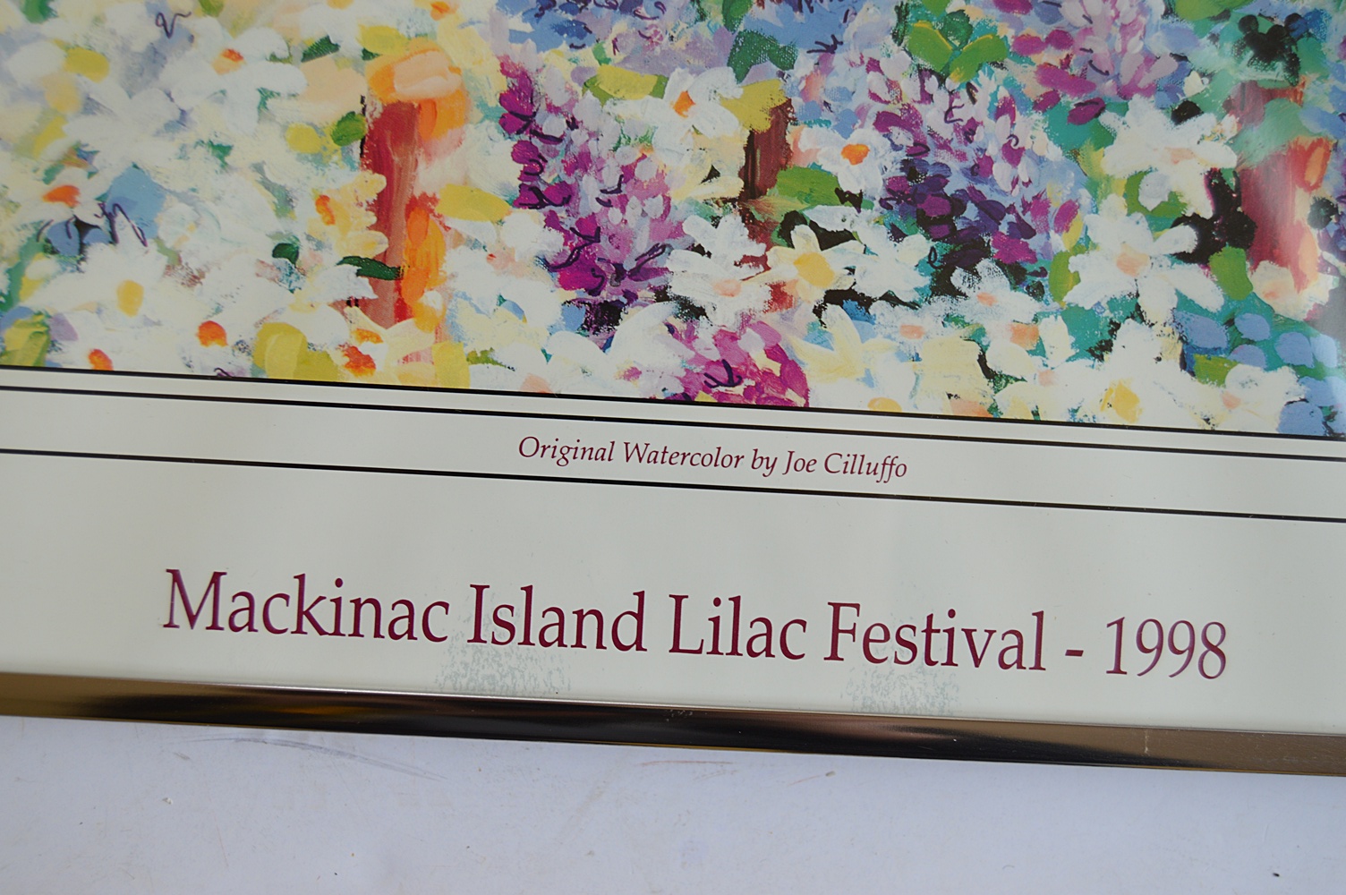Six Framed Mackinac Island Posters