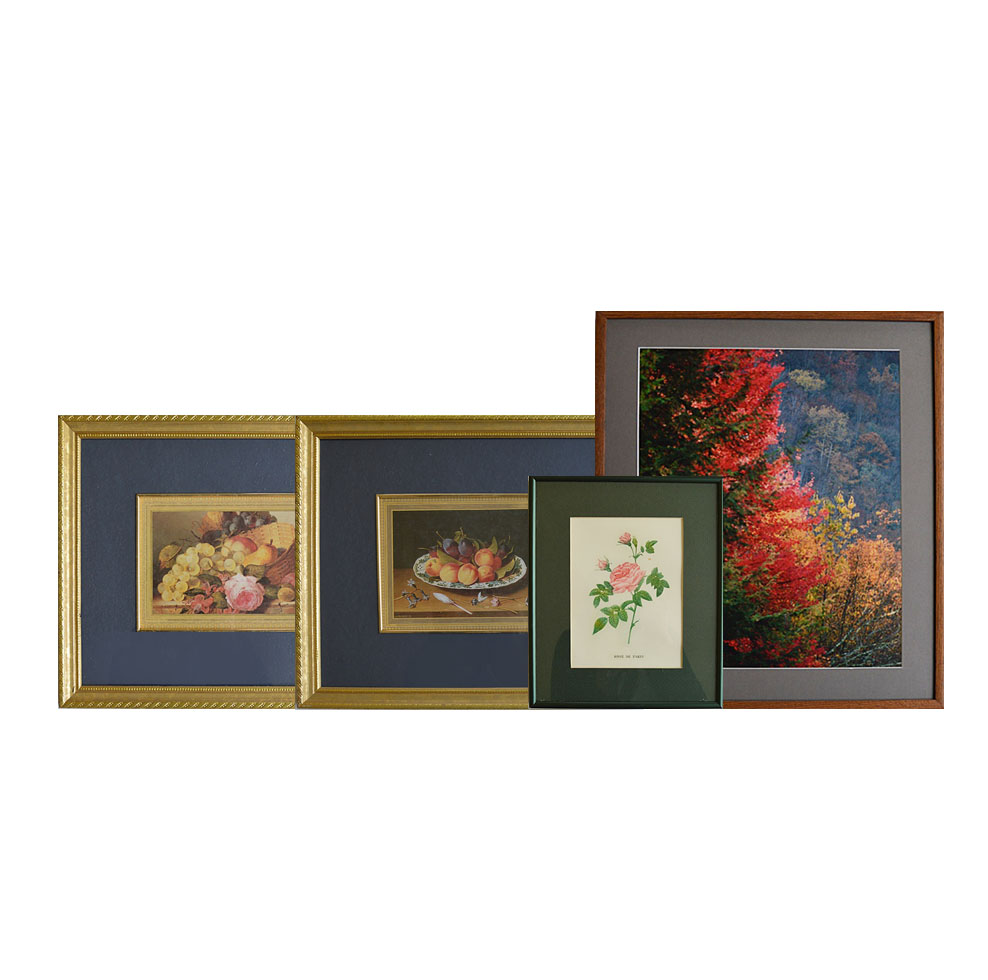 Framed Floral and Nature Themed Prints