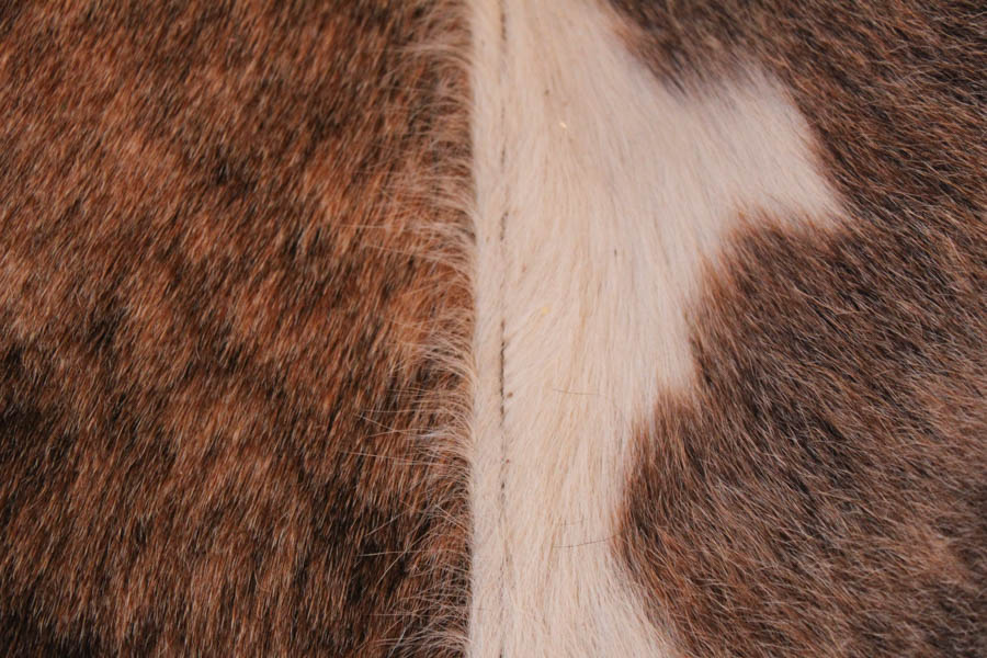 Haircalf Leather Egg-Style Chair