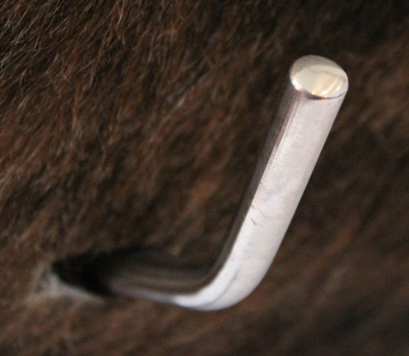 Haircalf Leather Egg-Style Chair