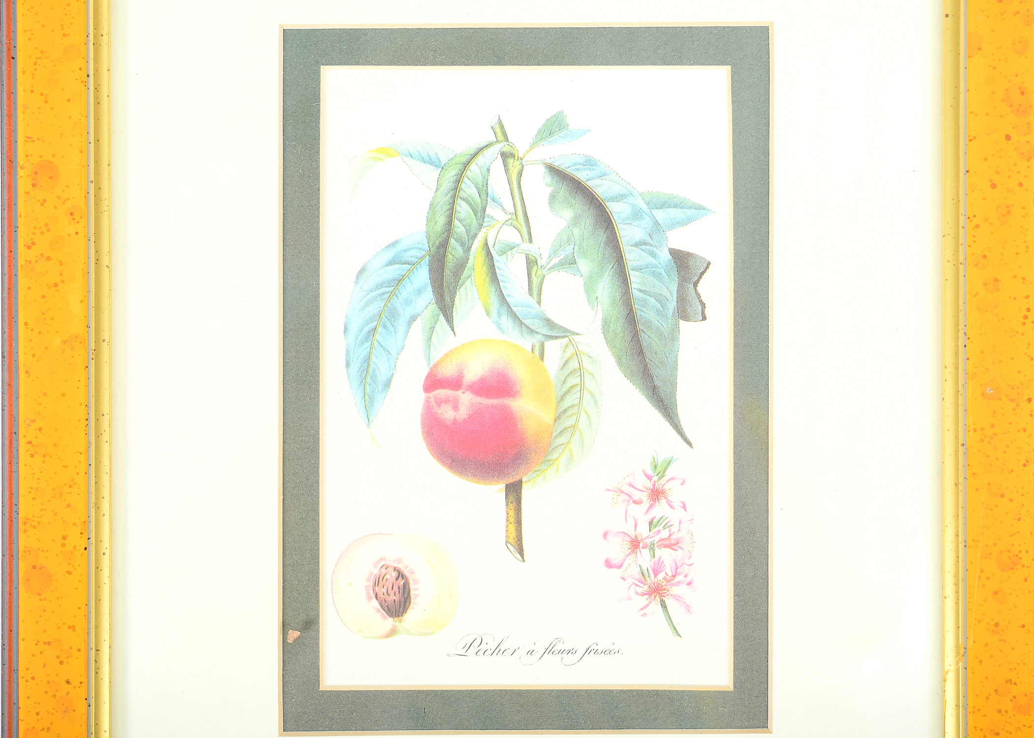 Collection of Framed Needlepoints and Prints