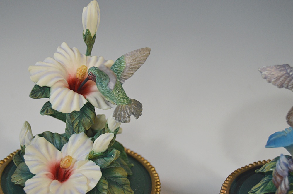 Hummingbird Figurine Bell Jar Collection