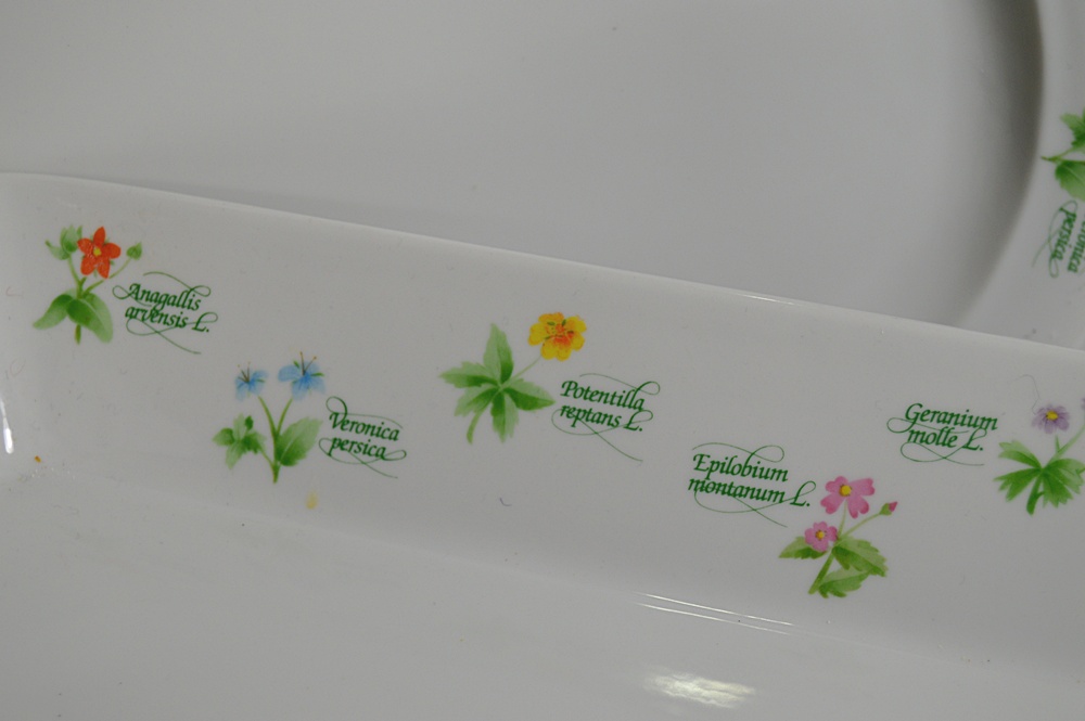 Kitchen Bakeware with Graniteware and Pyrex