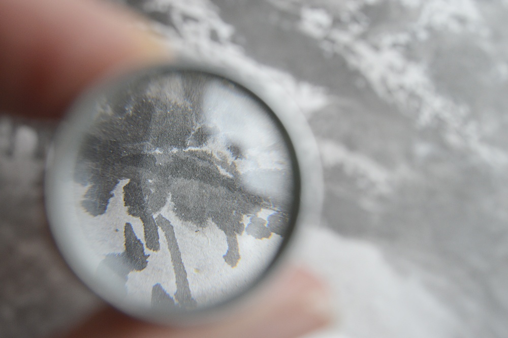 Original Signed Chinese Scroll Painting