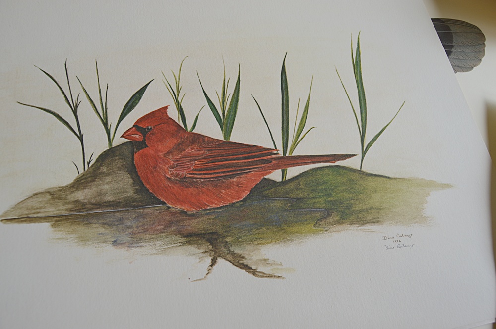 Audubon Prints, Nature Prints