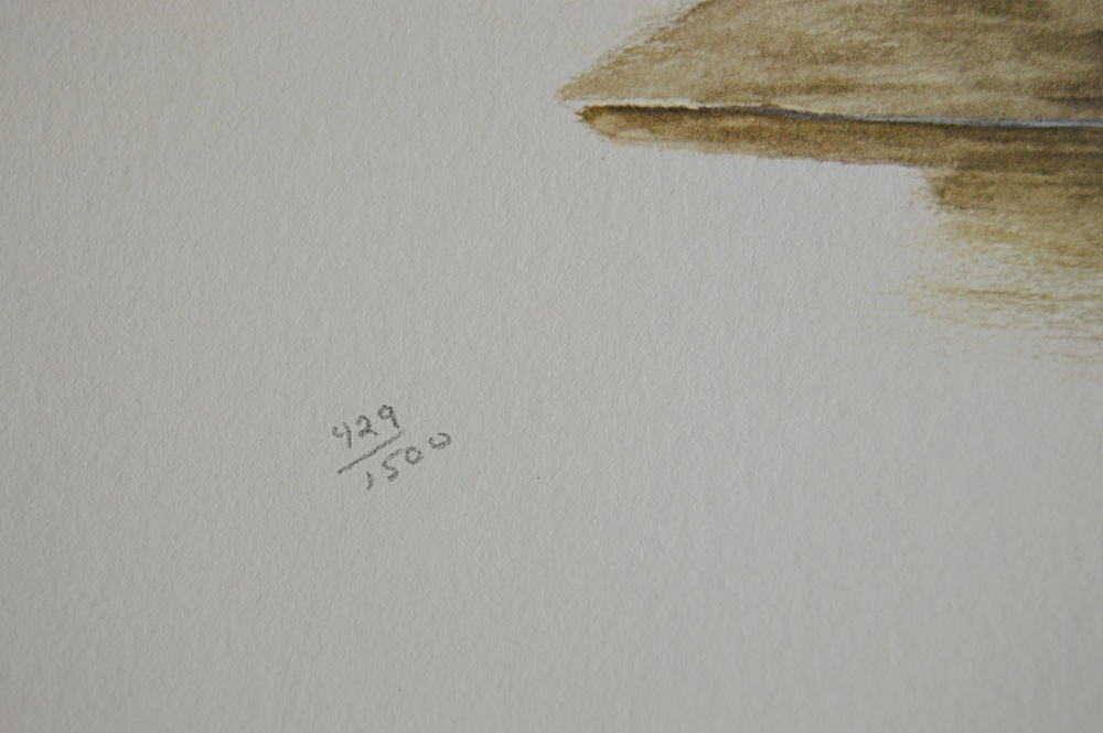 Audubon Prints, Nature Prints