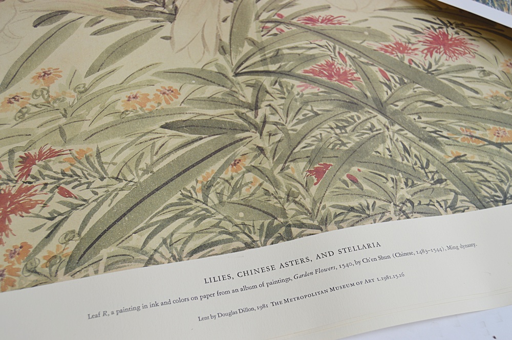 Audubon Prints, Nature Prints