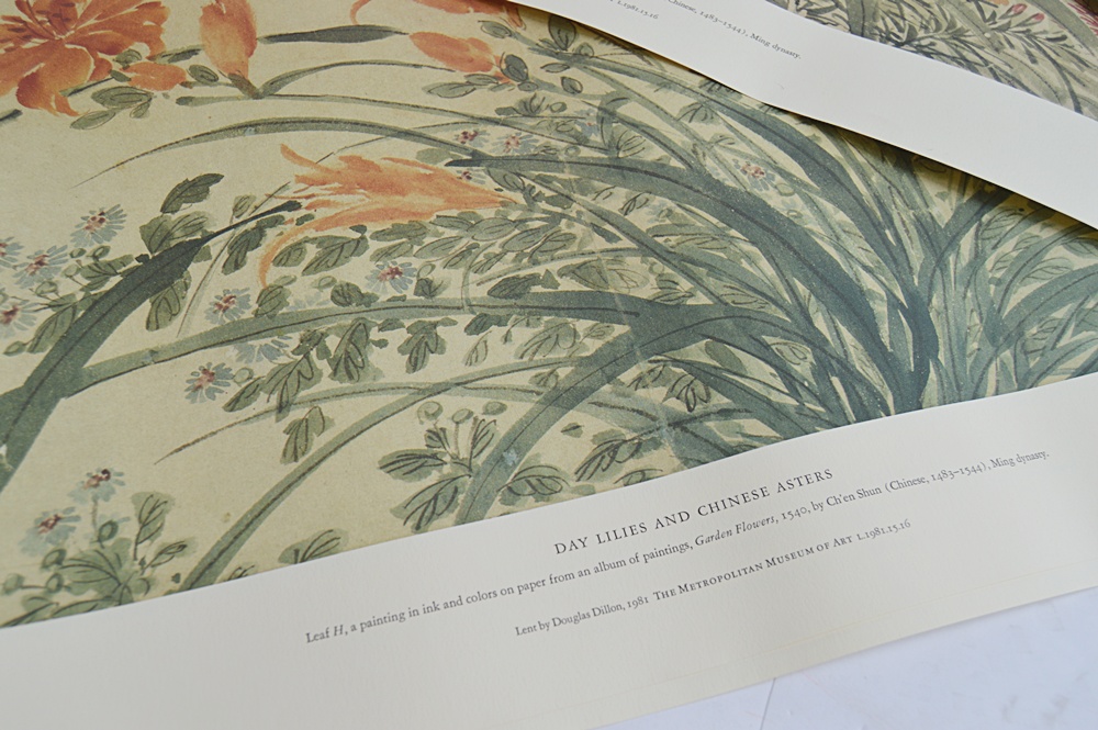 Audubon Prints, Nature Prints