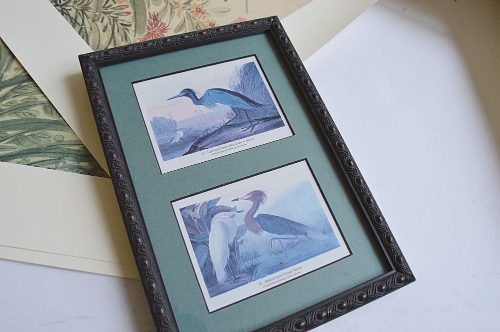Audubon Prints, Nature Prints