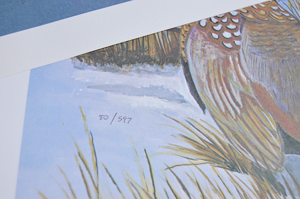 Audubon Prints, Nature Prints