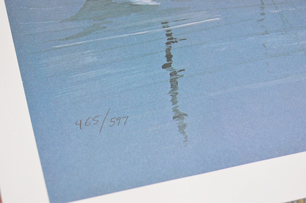 Audubon Prints, Nature Prints