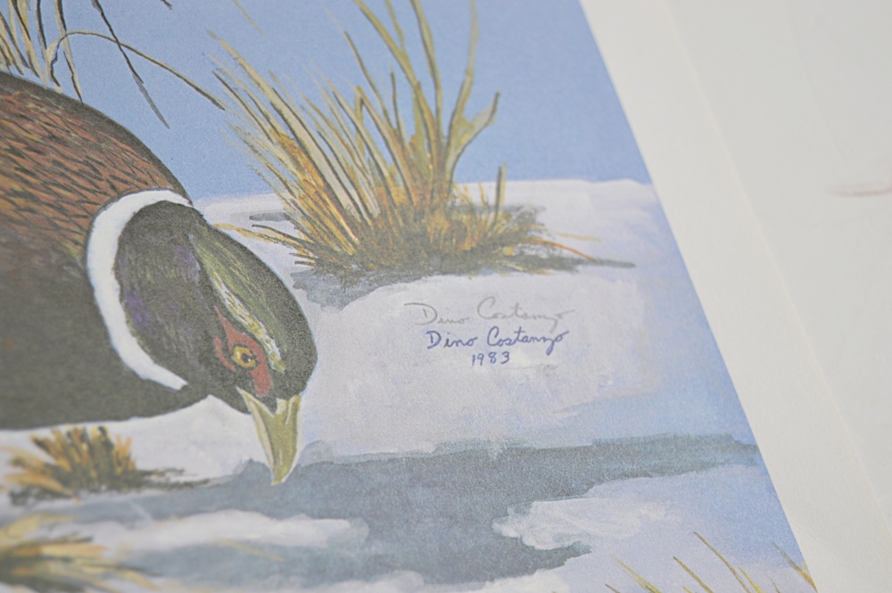 Audubon Prints, Nature Prints