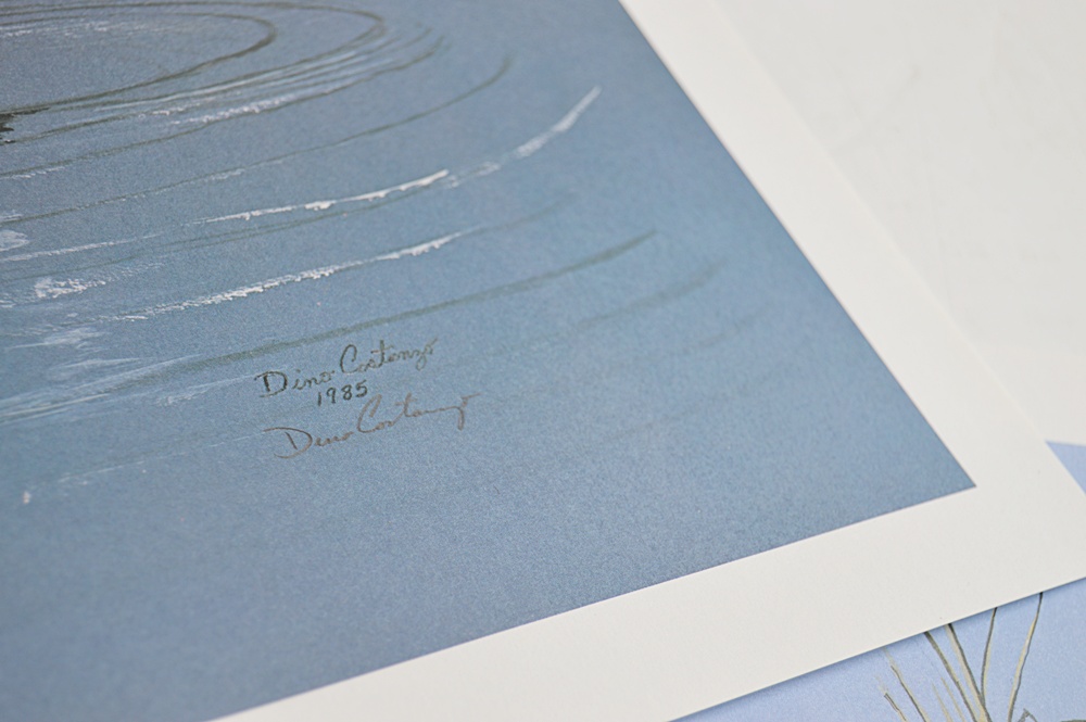 Audubon Prints, Nature Prints