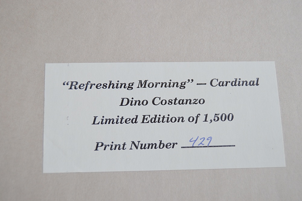 Audubon Prints, Nature Prints