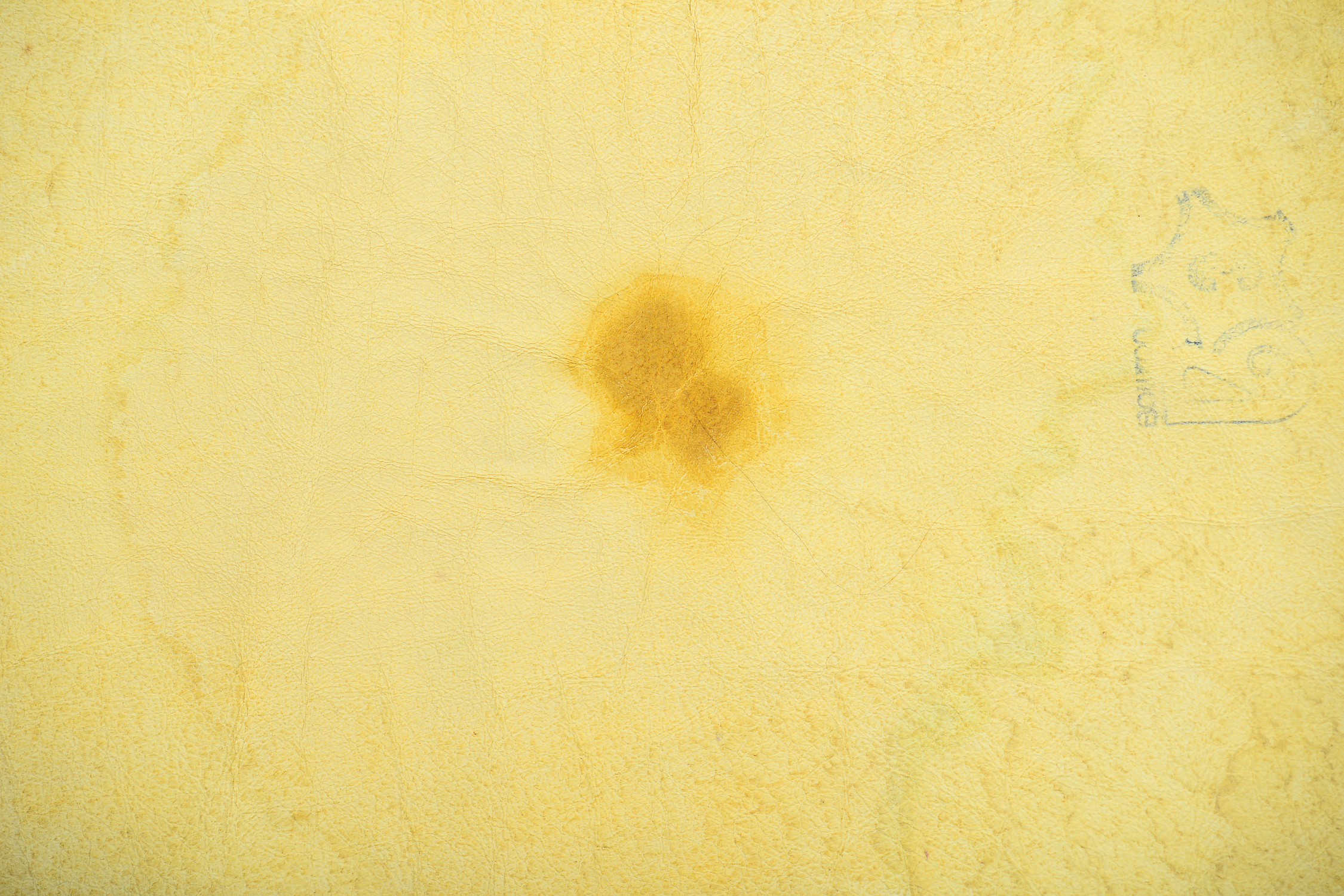 Pair of Sheepskin Rugs
