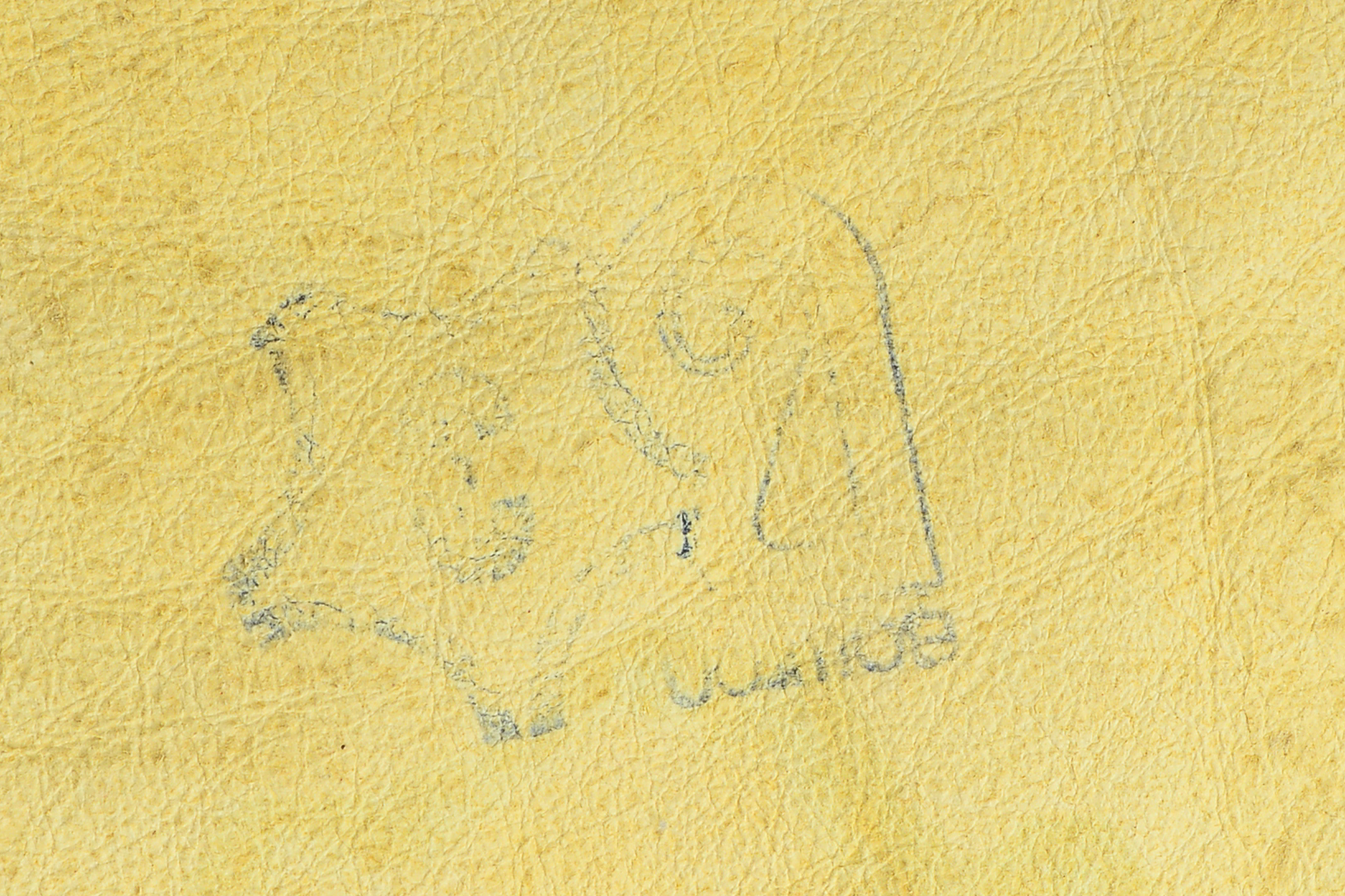 Pair of Sheepskin Rugs