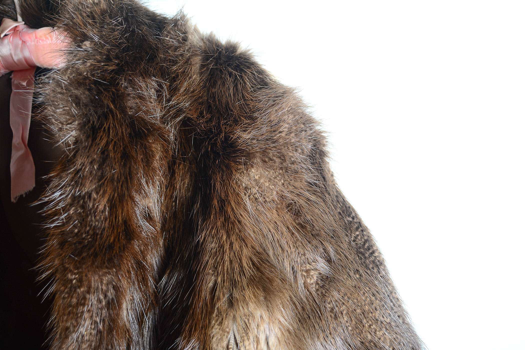 Mink Fur Coat by Gus Mayer