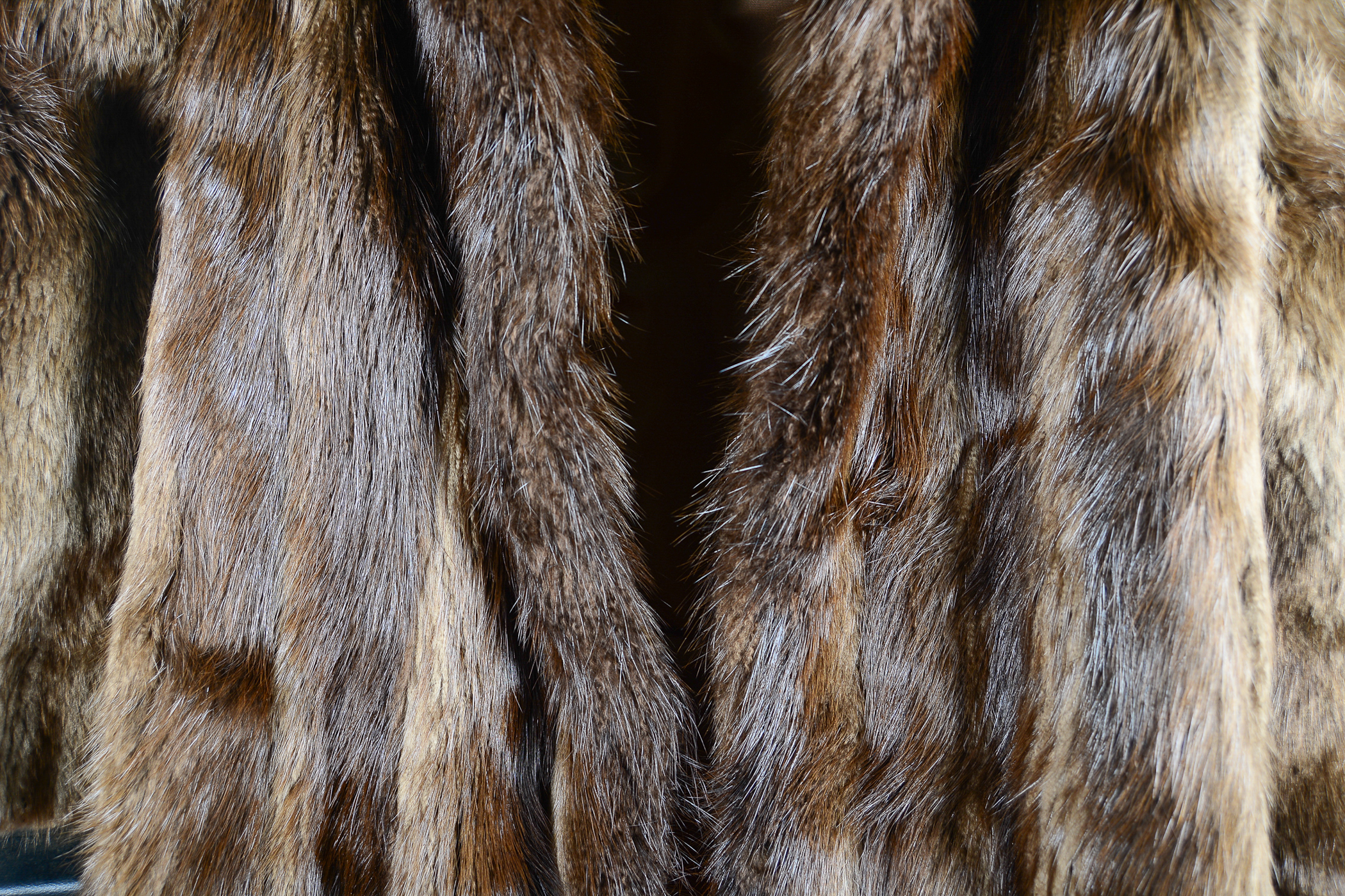 Mink Fur Coat by Gus Mayer
