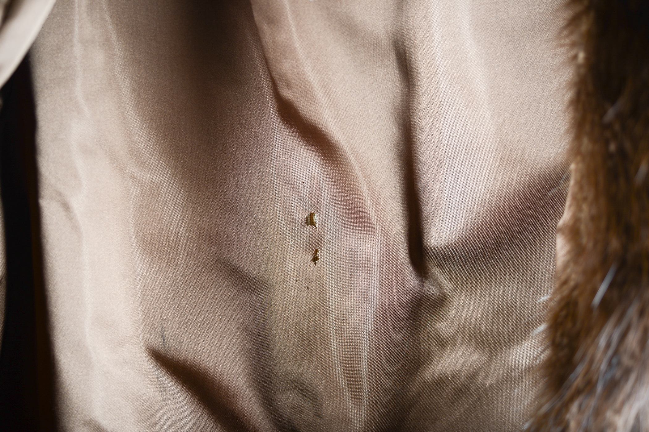 Mink Fur Coat by Gus Mayer