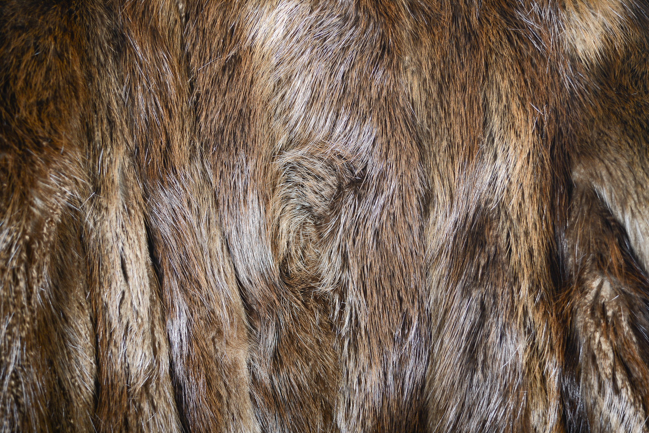 Mink Fur Coat by Gus Mayer