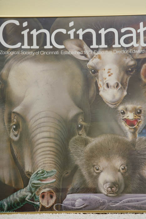 Framed Cincinnati Zoo Poster