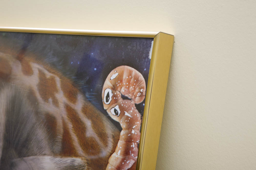 Framed Cincinnati Zoo Poster