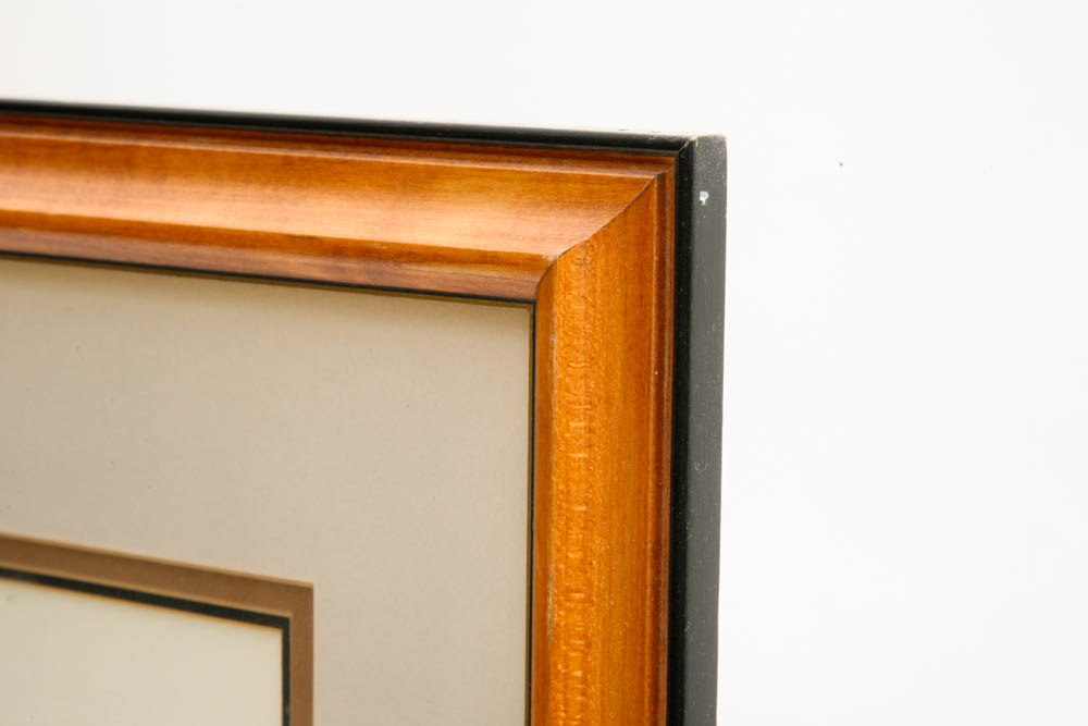 Allen F Brewer Jr. Framed Offset Lithograph of Northern Dancer