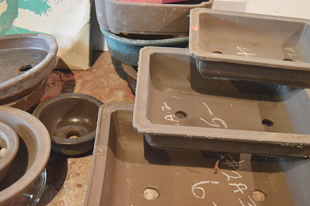 Bonsai Pottery Planters and Books