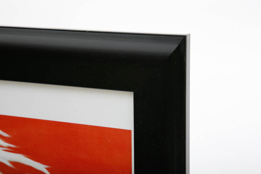 Signed and Framed Katie Upton White Horse Offset Lithograph