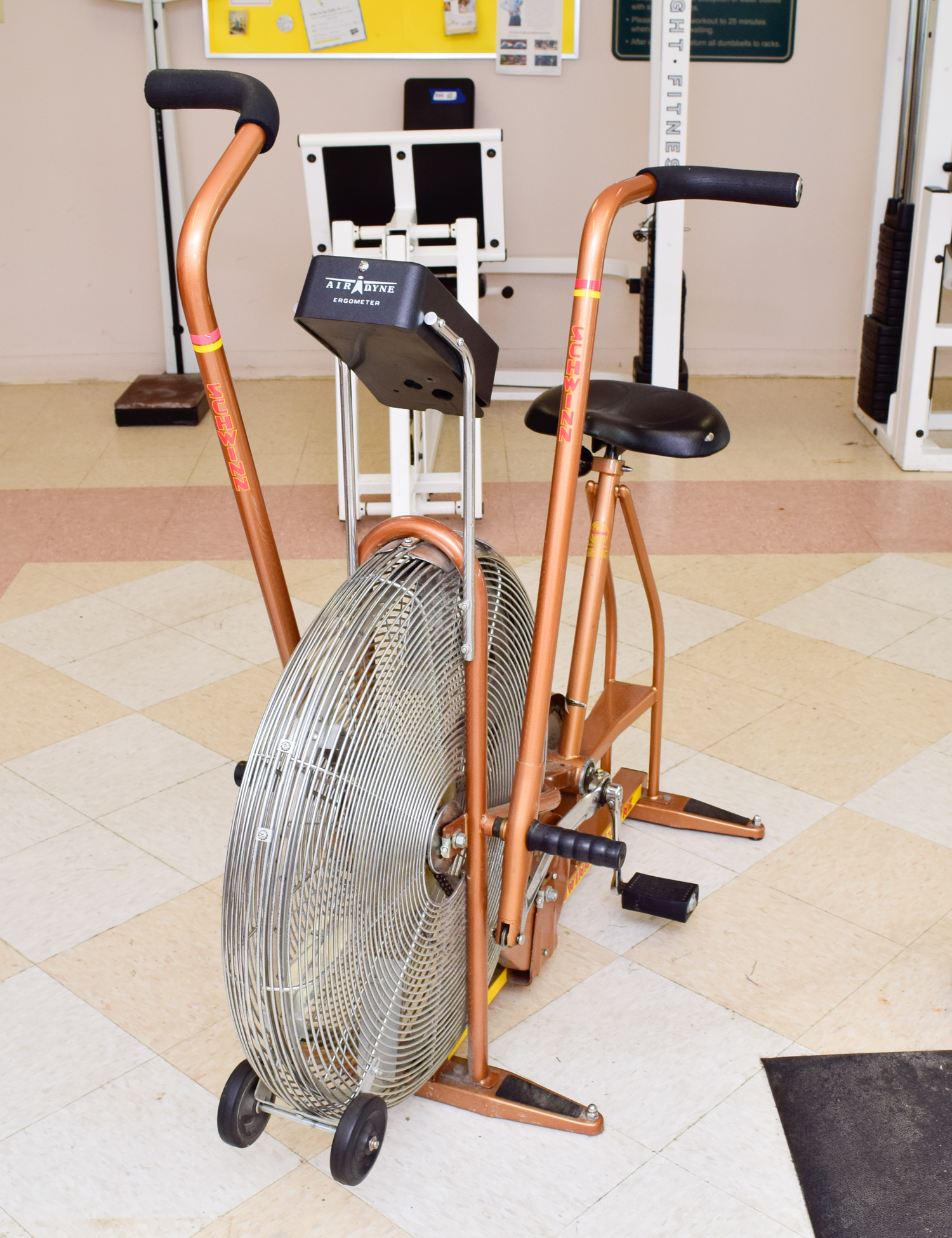 Schwinn Air-dyne EroMetric Exerciser