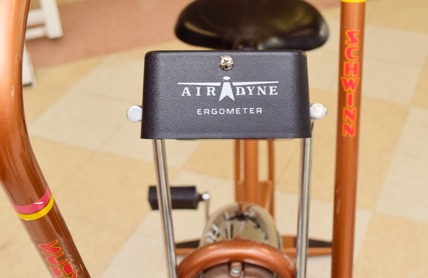 Schwinn Air-dyne EroMetric Exerciser