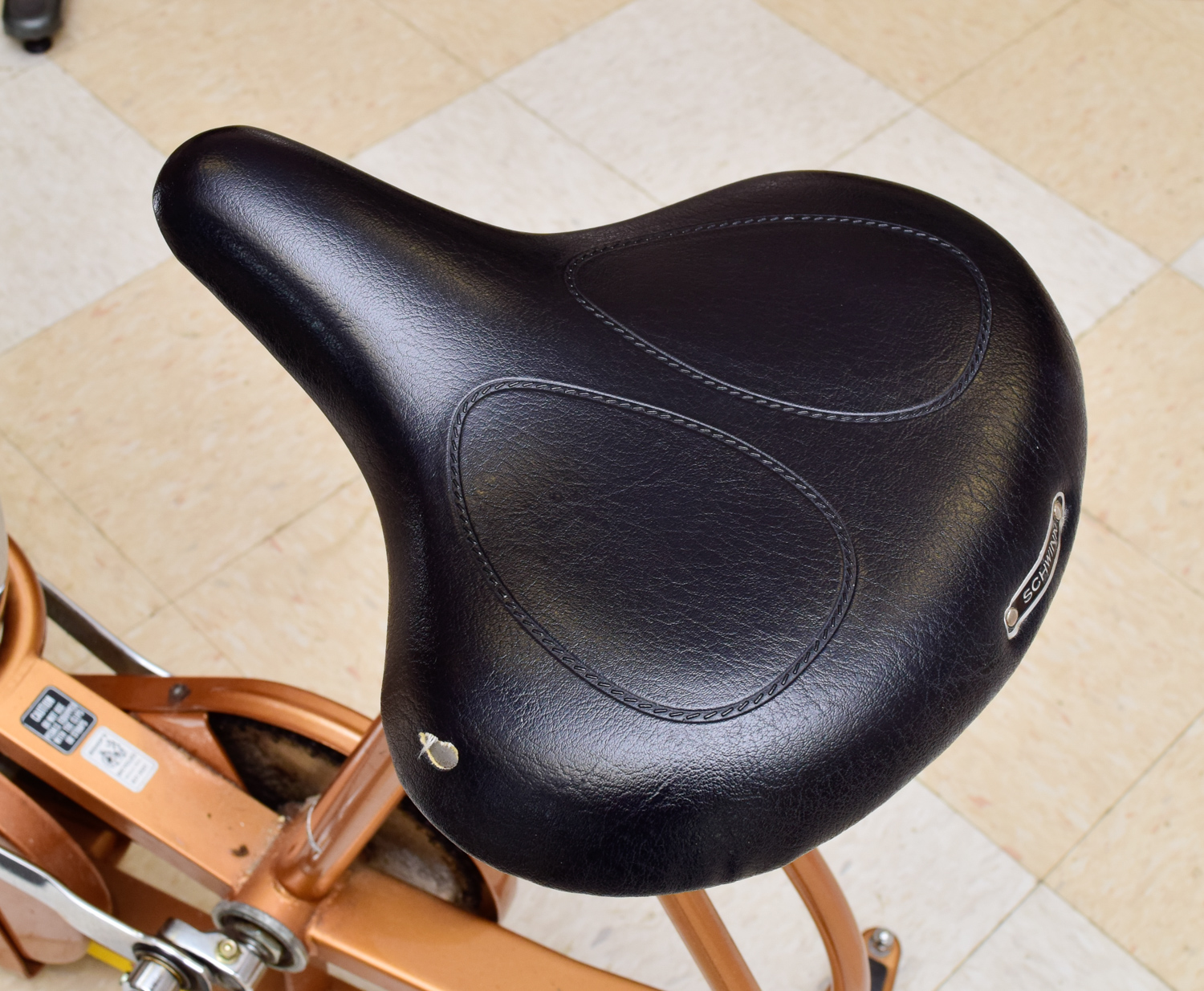 Schwinn Air-dyne EroMetric Exerciser