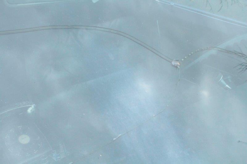 Custom 1969 Fleetwood Cadillac